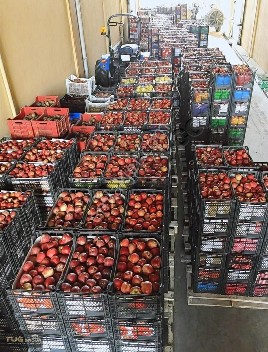 Tefenni'de 13 Dönüm Arazi İçinde Soğuk Hava Deposu