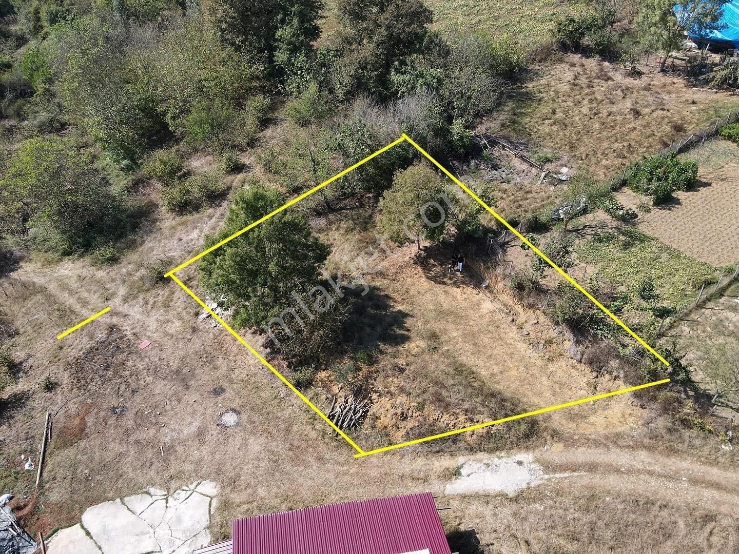 Kandıra Döngelli Mahallesi İmarlı Arsa