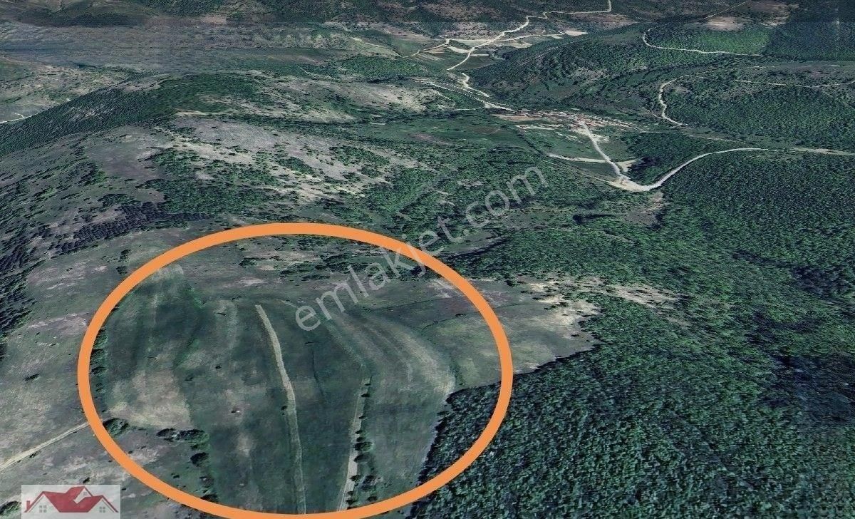 Samsun Kavak Göçebe De 11.975 M2 Boş Tarla. - Görsel 4