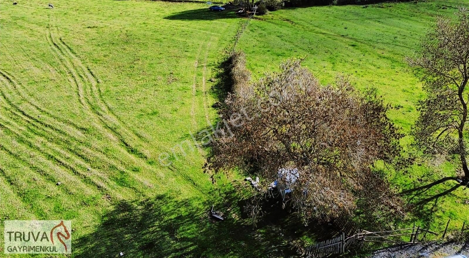 Truva Gayrimenkul Den Beykoz Güllü Mahallesinde 10 Dönüm Arsa