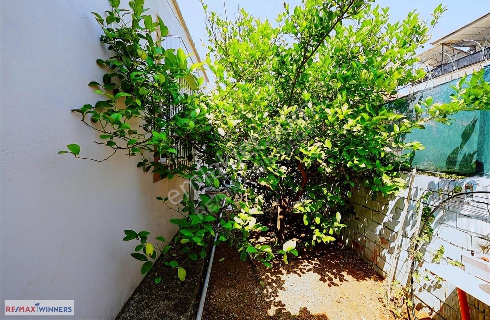 Aksu Pınarlı'da Huzurlu Bir Yaşam İçin Bahçeli Müstakil - Görsel 24