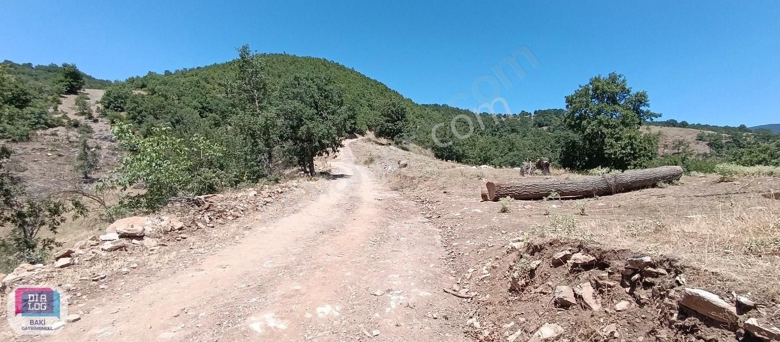 Bursa Güneybayır Köyünde Satılık Tarla