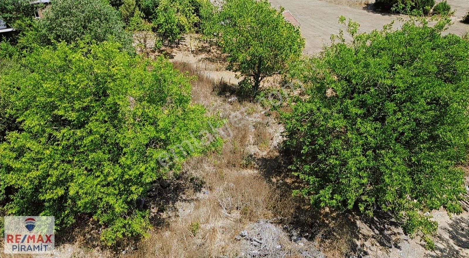 Ağva Ve Kilimli Koyu'na 15 Dakika %40 İmarlı 440 M² Arsa Fırsatı