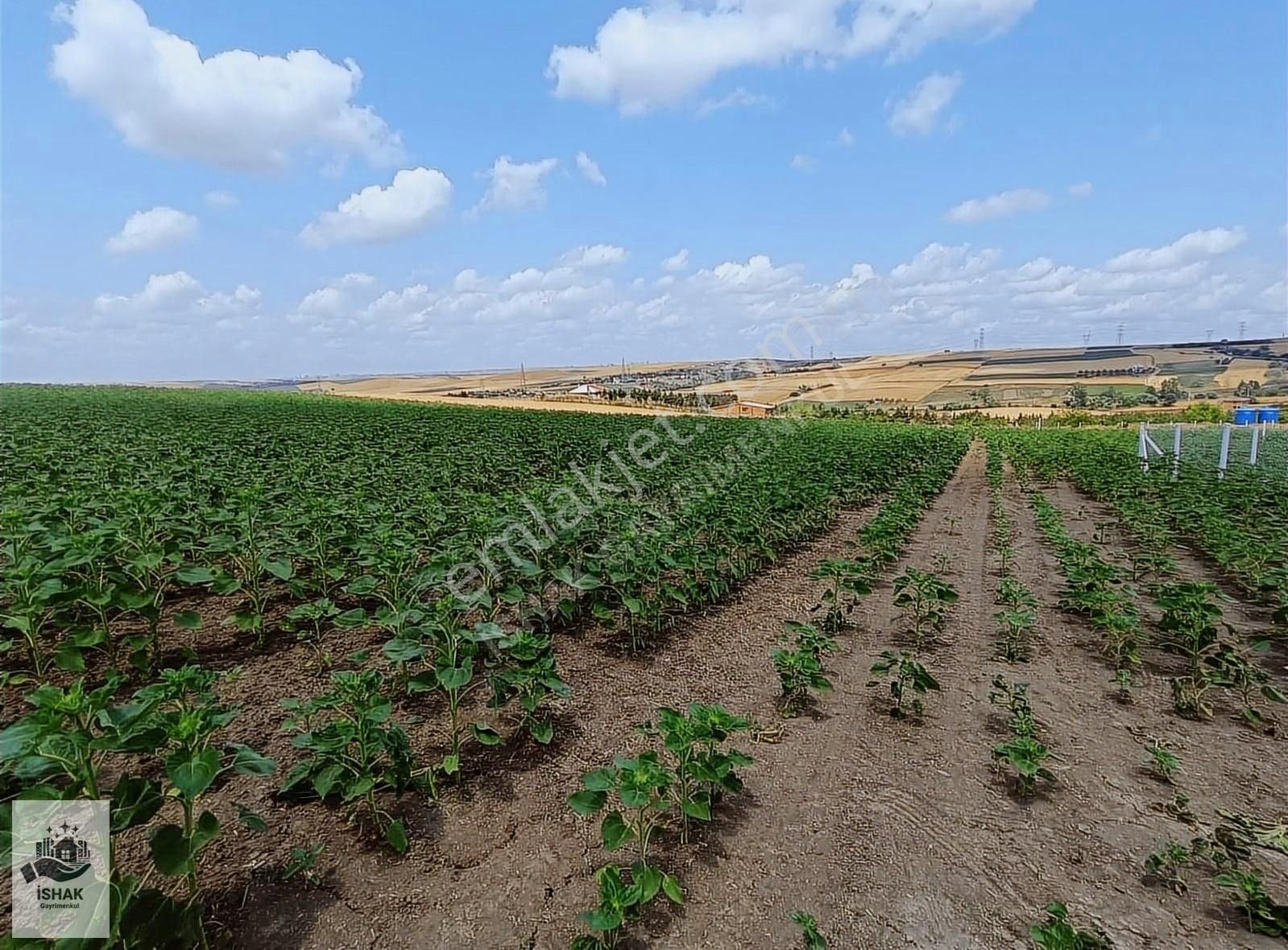 Tekirdağ Marmaraereğlisi Çeşmelide 212,35 Çaplı Muvafakatnameli
