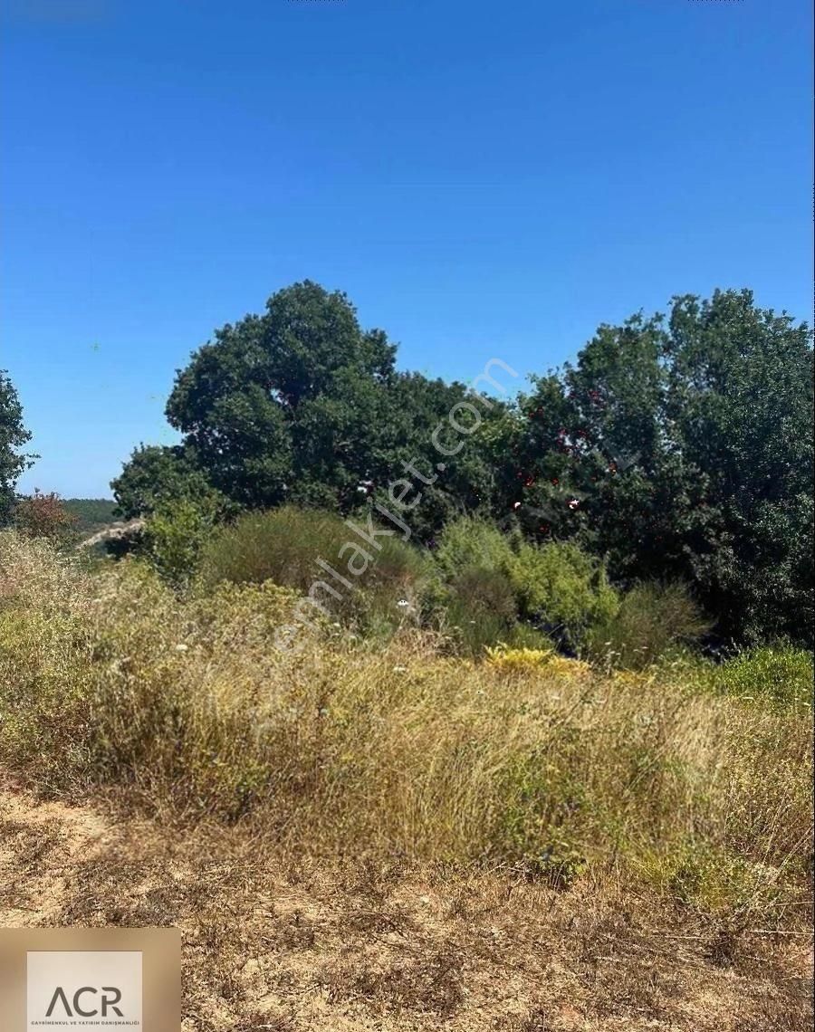 Acr Gyd'den Şile İmrenli Deniz Manzaralı Arsa - Görsel 5