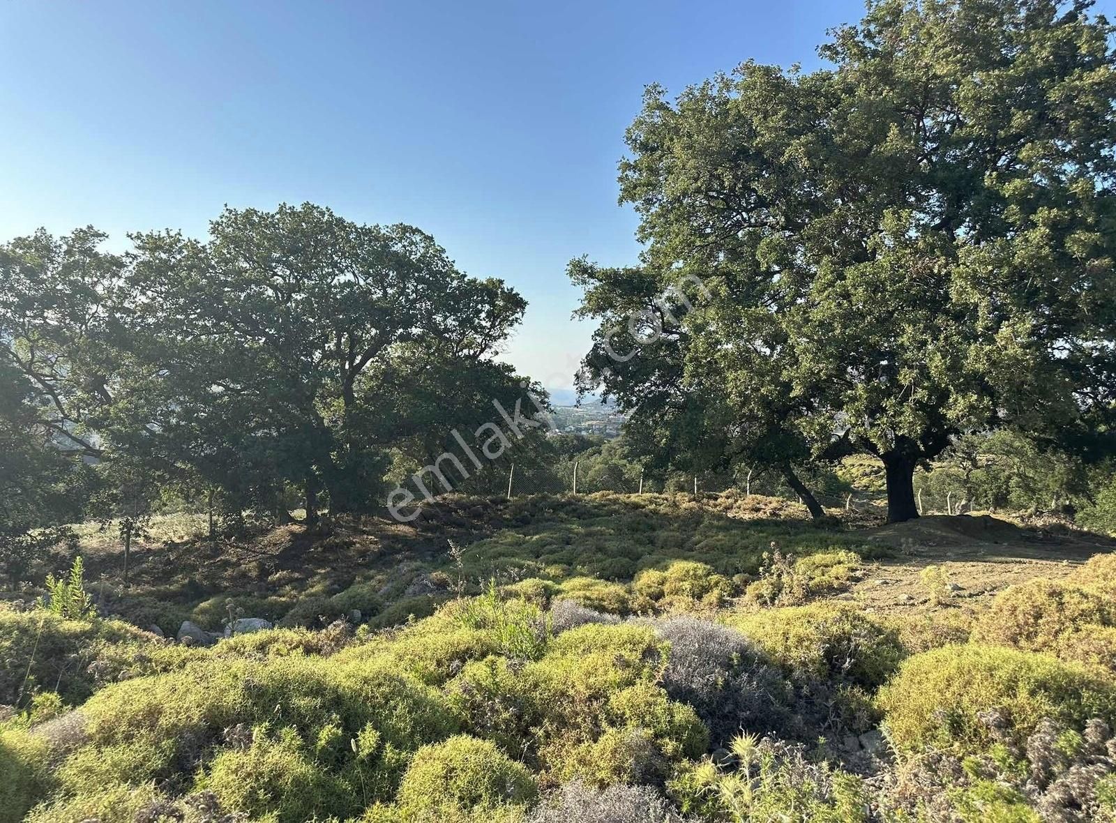 Fırsat Yatırım - Görsel 2