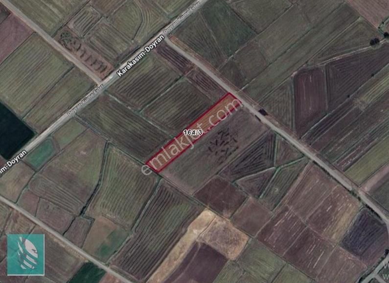Edirne Merkez Doyran Köyü'nde Verimli Çeltik Tarlası
