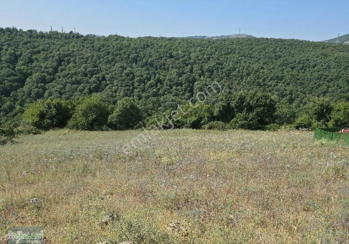 Atakum İncesu Mah Acil Satılık 1095 Mk