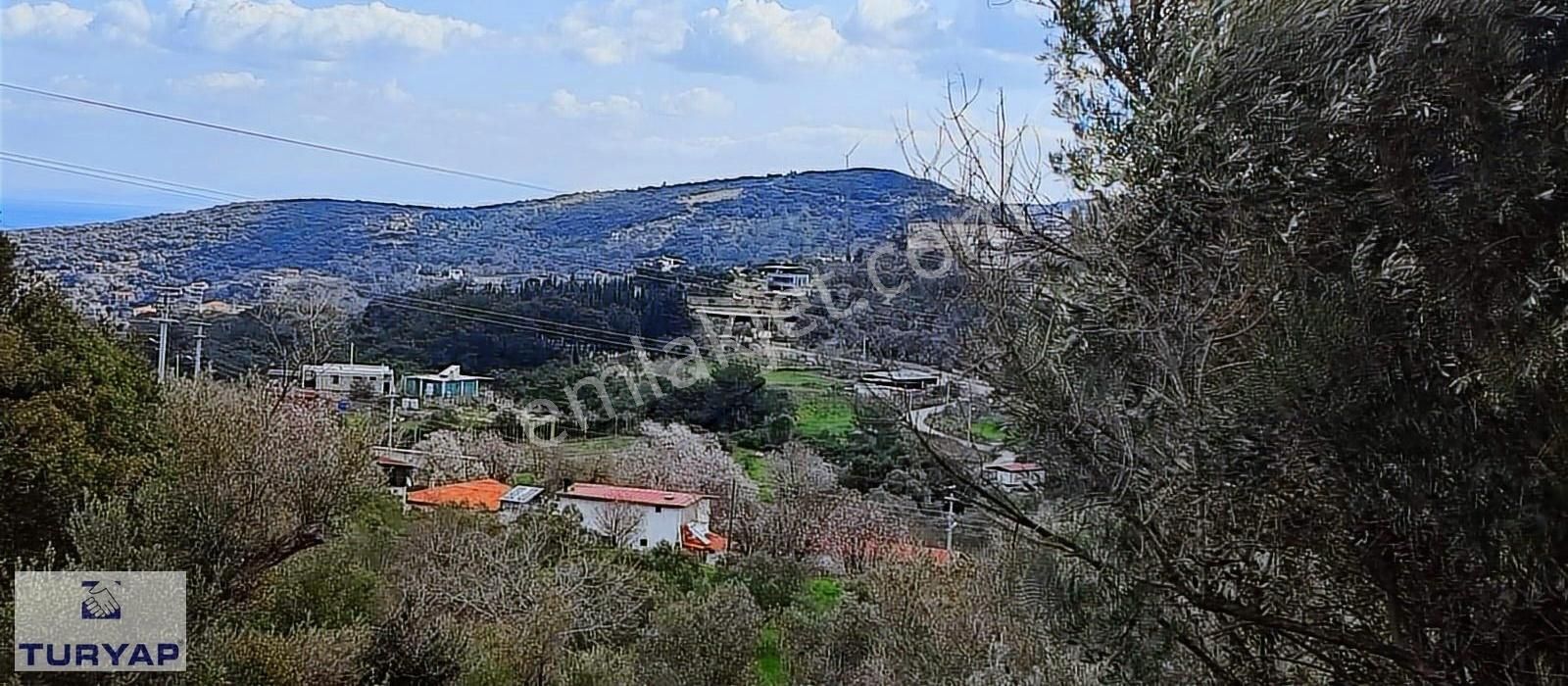 Karaburun Kösedere Ve Eğlenhoca Arasında Satılık Tarla