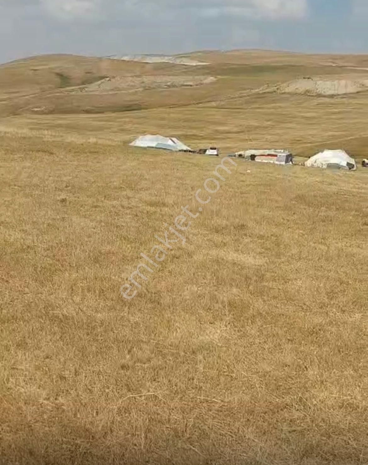 Fırsat-ges Ve Çiftliğe Uygun- Malazgirt Yoluna Cephe-kaynak Sulu - Görsel 8