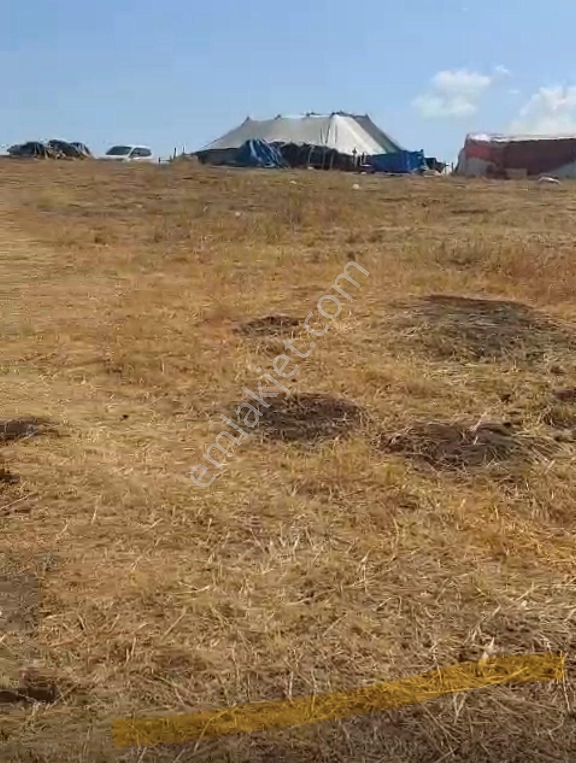 Fırsat-ges Ve Çiftliğe Uygun- Malazgirt Yoluna Cephe-kaynak Sulu - Görsel 3