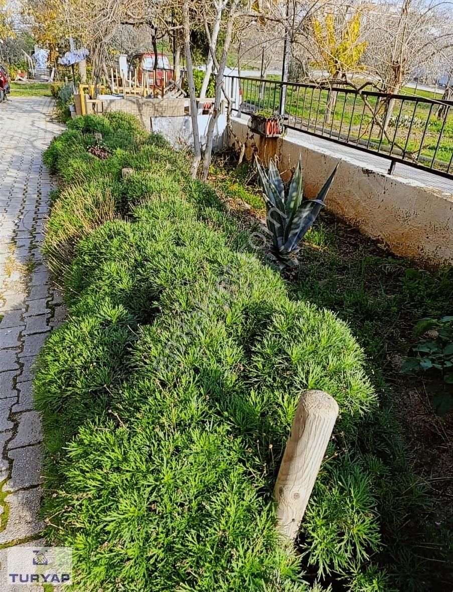 Camikebir'de 1+1 Eşyalı Bahçe Kullanımlı Kiralık Daire
