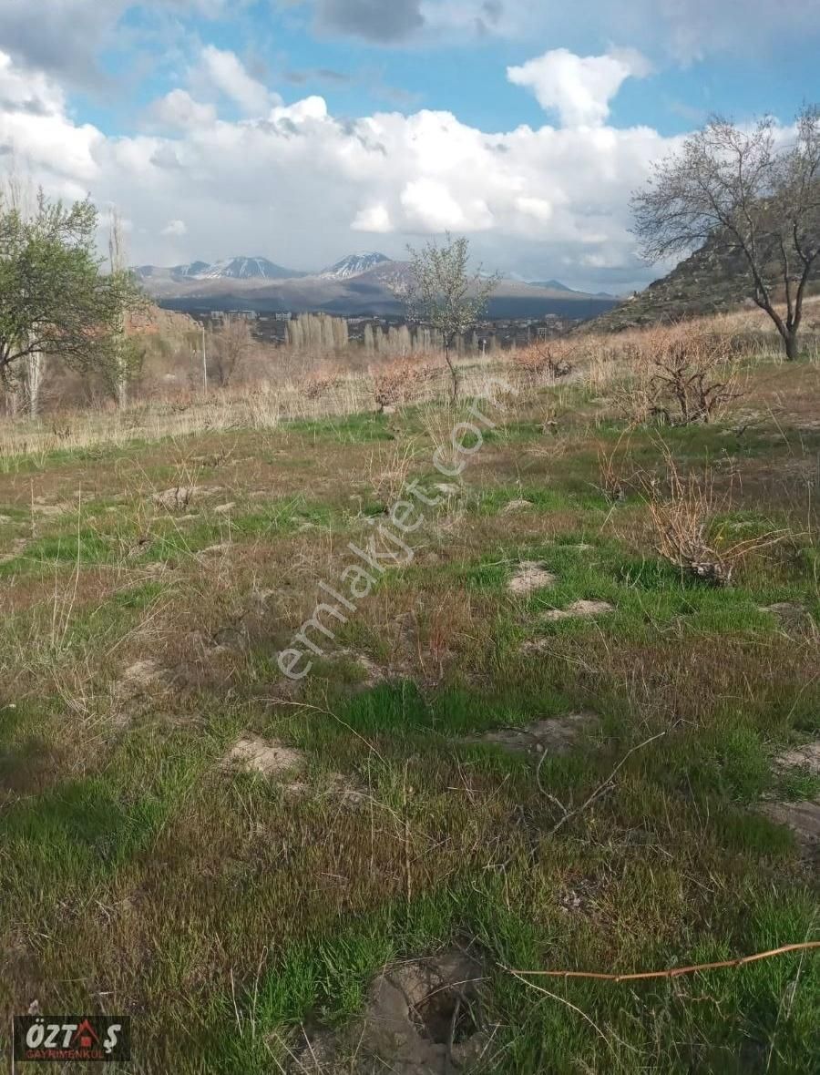 İncesu Derebağda Yola Cepheli Bağ - Görsel 3