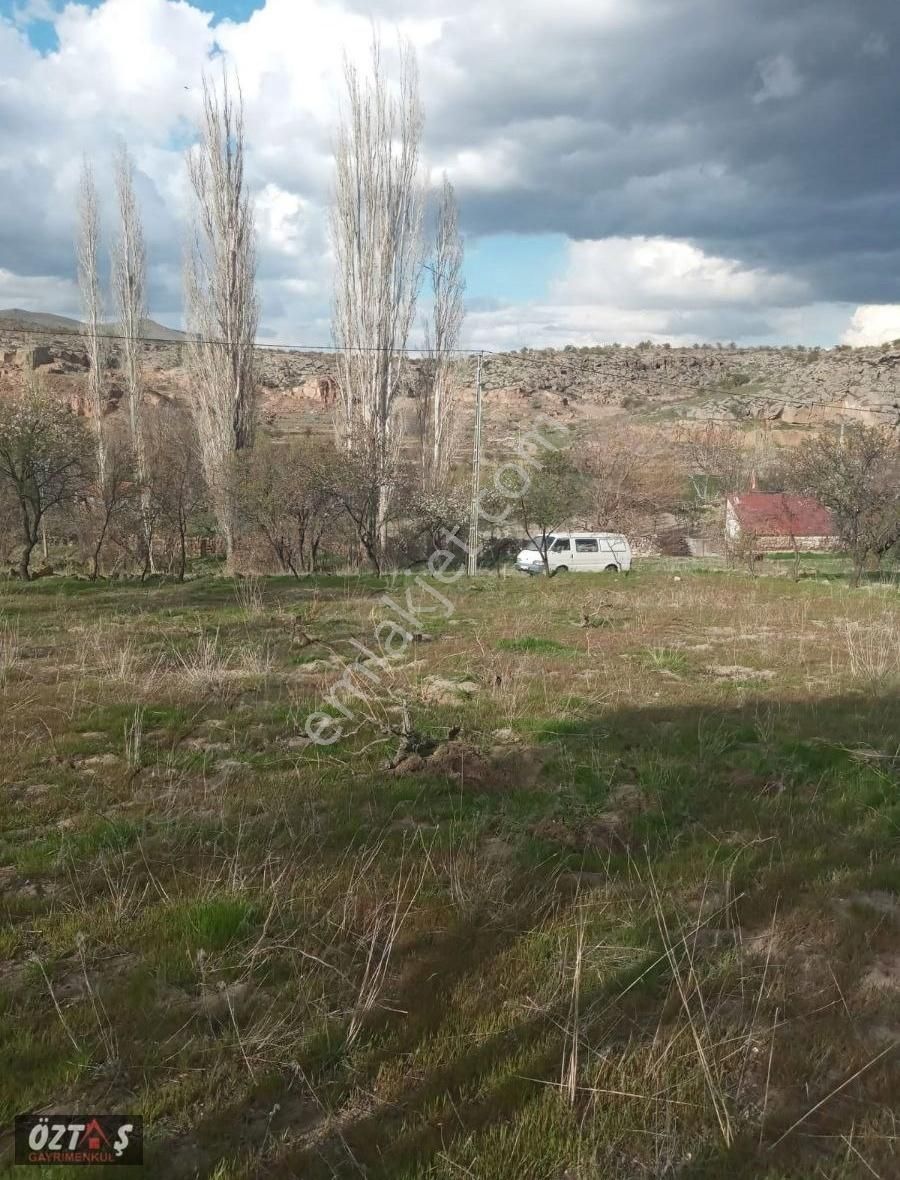İncesu Derebağda Yola Cepheli Bağ - Görsel 7