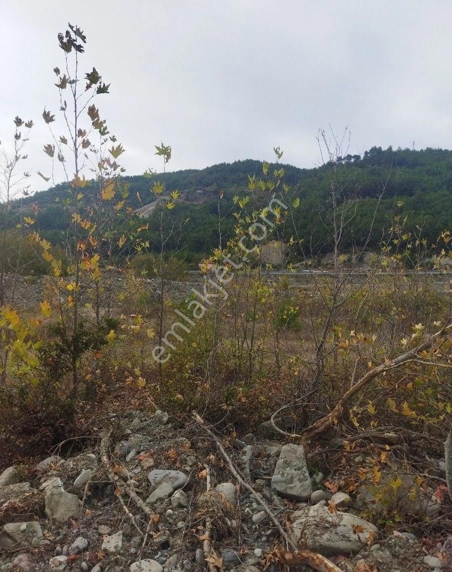 Sabuncuoğlu Gayrimenkul Den Sinop Dikmen De Yatırımlık Arazi Acil Dikmen Kırcal Da Prim Lik İdeal - Görsel 24