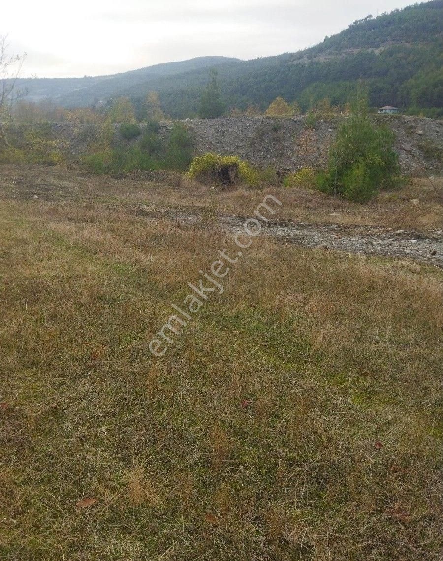 Sabuncuoğlu Gayrimenkul Den Sinop Dikmen De Yatırımlık Arazi Acil Dikmen Kırcal Da Prim Lik İdeal - Görsel 2