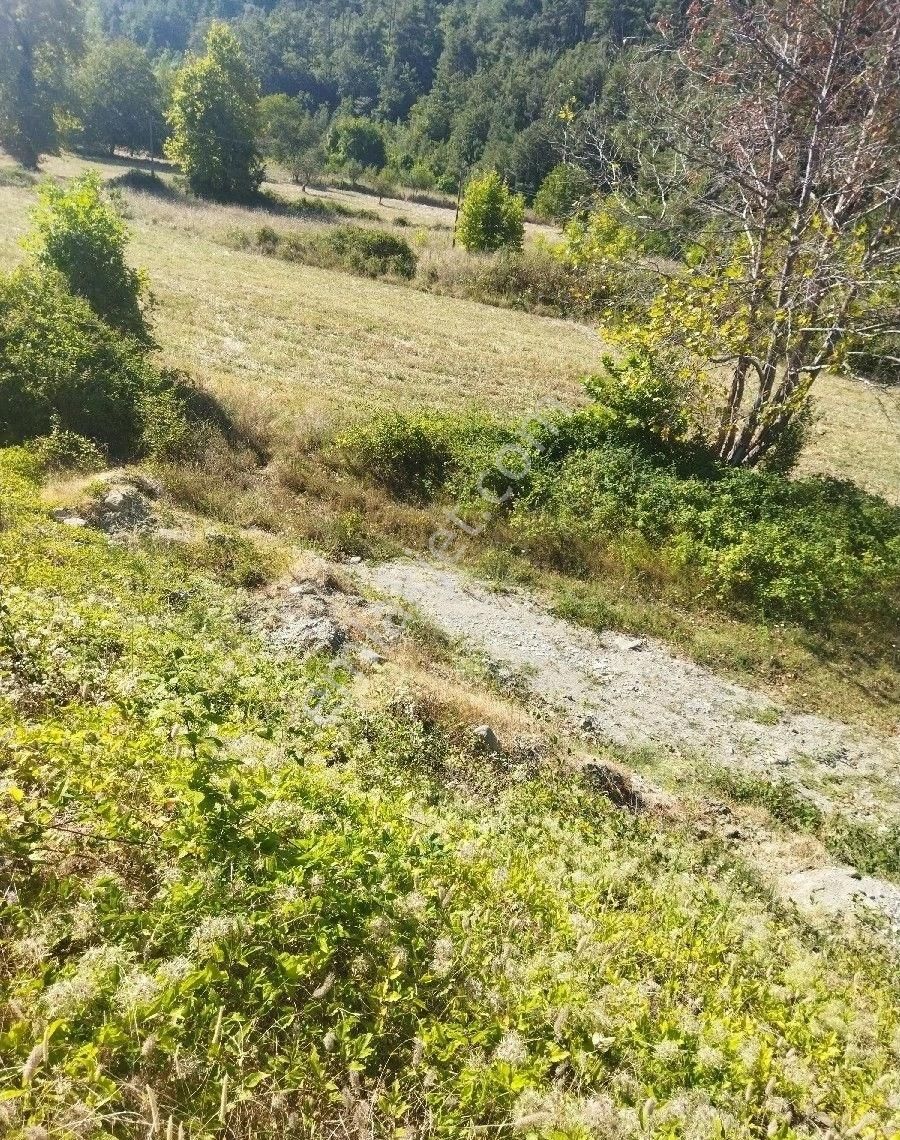 Sabuncuoğlu Gayrimenkul Den Sinop Dikmen De Yatırımlık Arazi Acil Dikmen Kırcal Da Prim Lik İdeal - Görsel 12