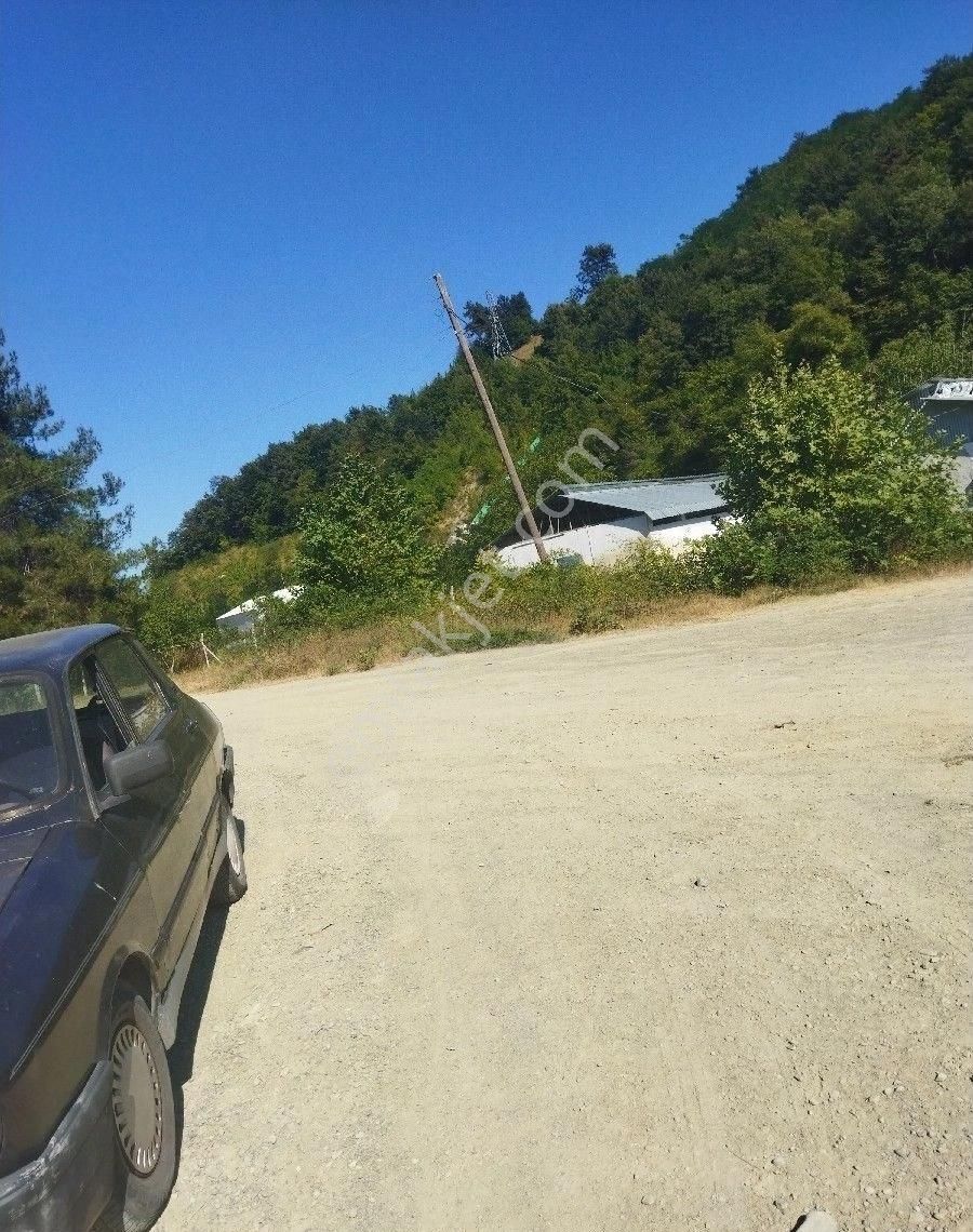 Sabuncuoğlu Gayrimenkul Den Sinop Dikmen De Yatırımlık Arazi Acil Dikmen Kırcal Da Prim Lik İdeal - Görsel 27