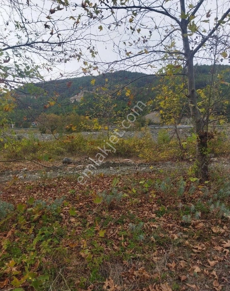 Sabuncuoğlu Gayrimenkul Den Sinop Dikmen De Yatırımlık Arazi Acil Dikmen Kırcal Da Prim Lik İdeal - Görsel 23