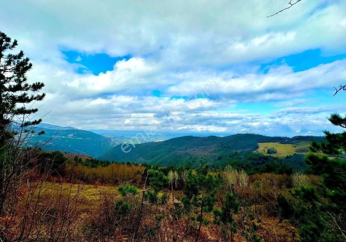 Sabuncuoğlu Gayrımenkul Den.sınop,gerze Acısu Da,full Deniz Manzarali,tatil Köyü İçın Fırsat.arazi. - Görsel 15