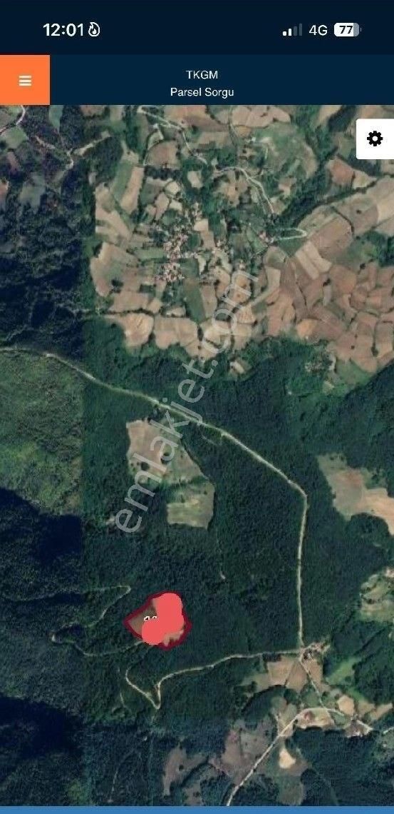 Sabuncuoğlu Gayrımenkul Den.sınop,gerze Acısu Da,full Deniz Manzarali,tatil Köyü İçın Fırsat.arazi. - Görsel 9