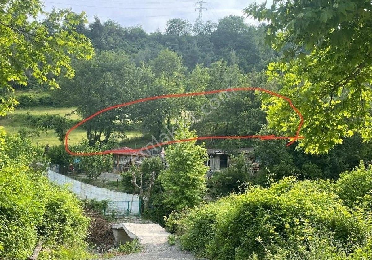 Sabuncuoğlu Gayrimenkul Den. Doğa Harikası.ucuz Bahçe.acil,yol,elektrık Var.