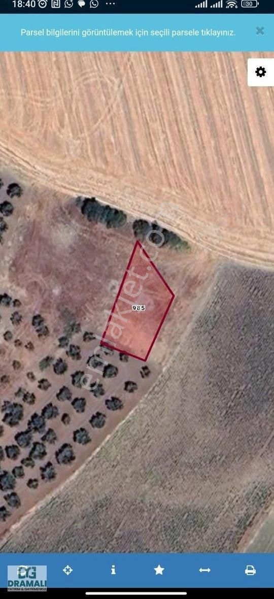 Bandırma Yeniyenice 478 M2 Köye Ve Asvalta Yakın Harika Bağ