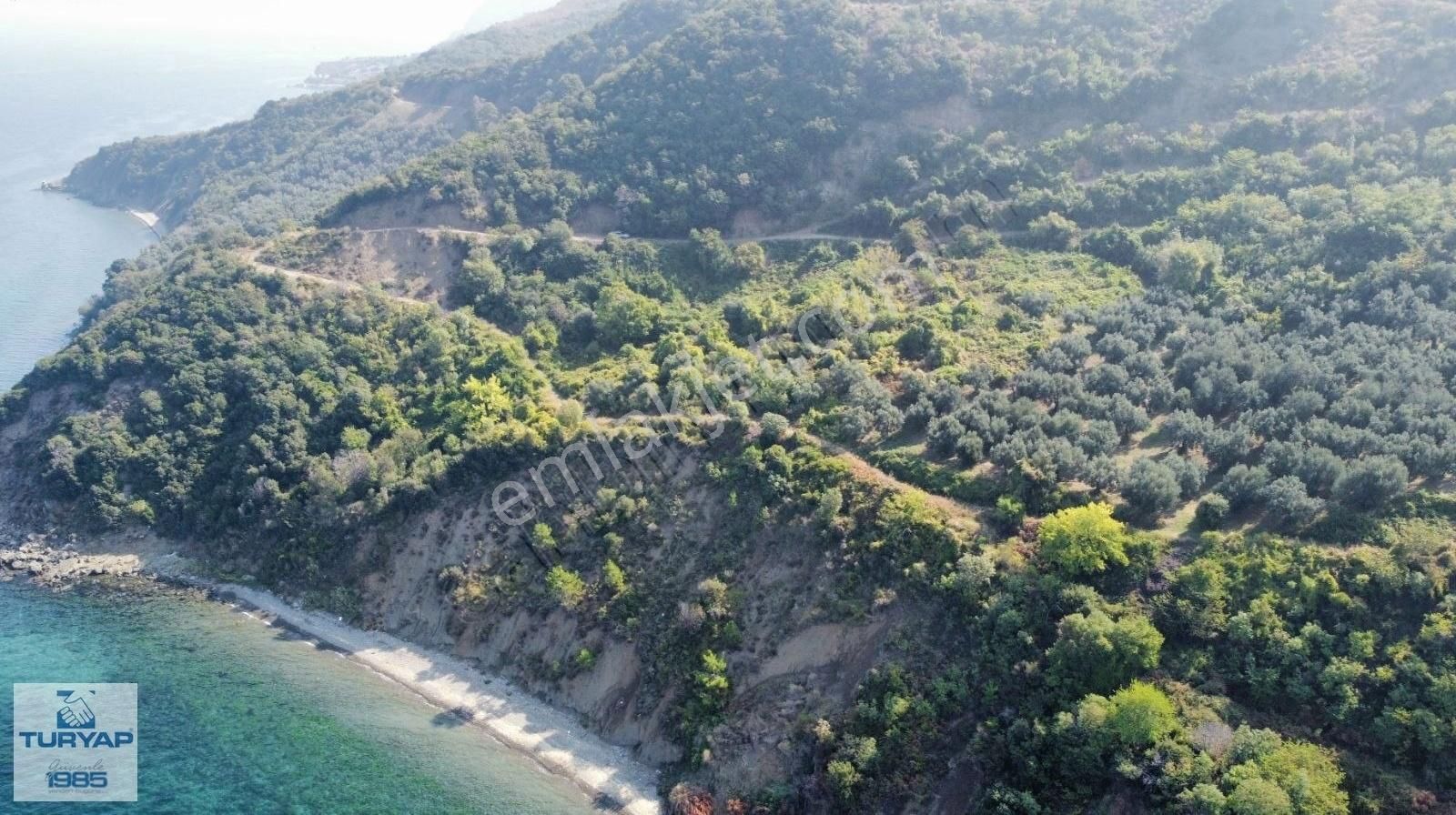 Esenköyde 7868 M2 Full Deniz Manzaralı Tarla