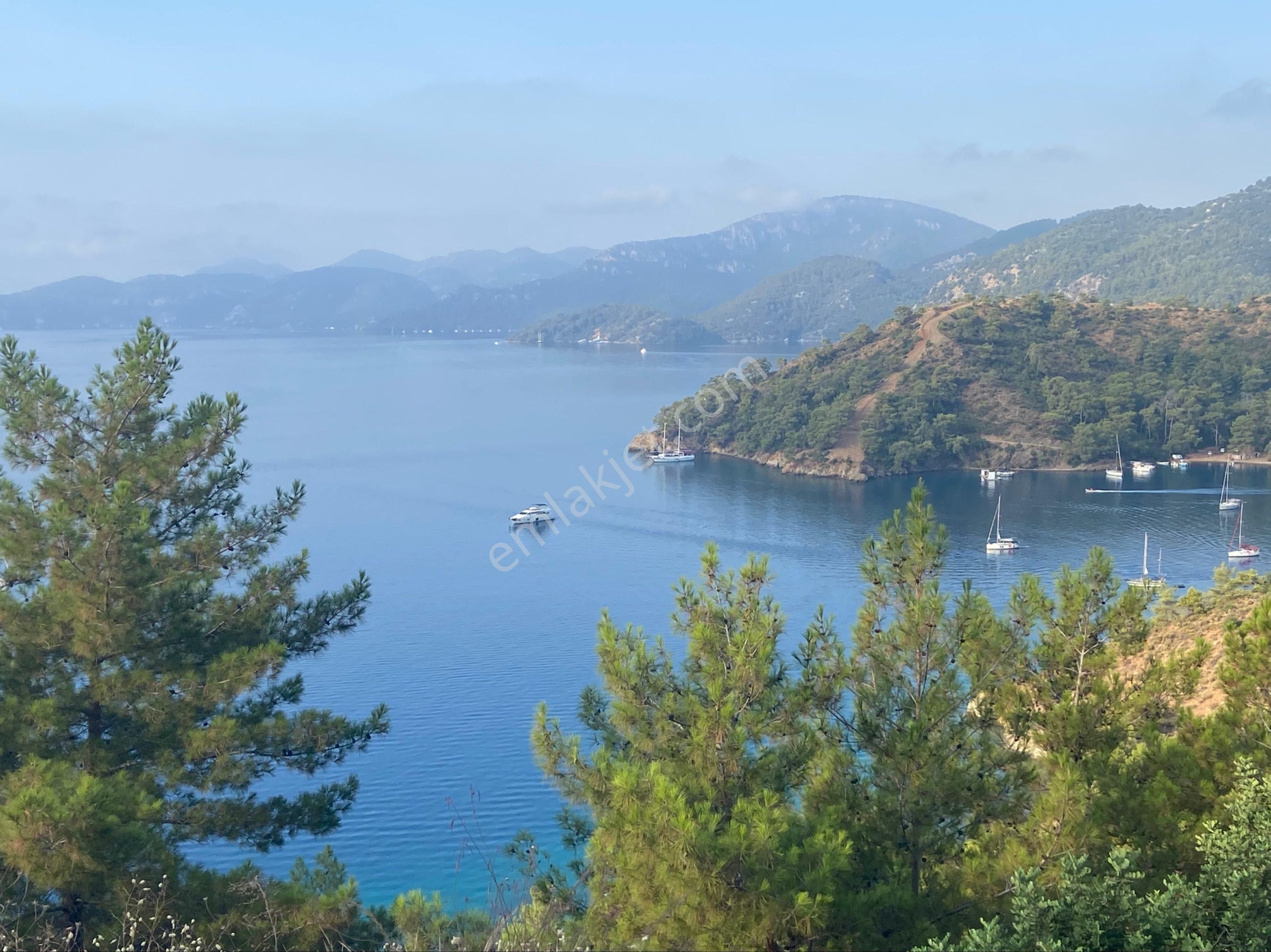 Dalaman Hürriyet De Yatırım Fırsatı - Görsel 24