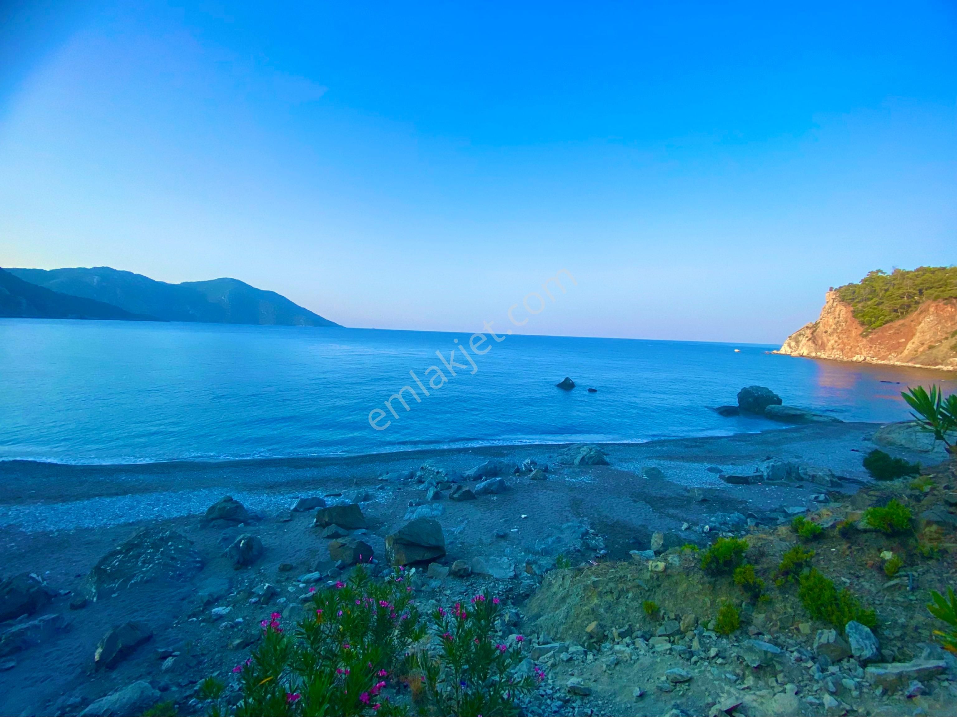 Dalaman Hürriyet De Yatırım Fırsatı - Görsel 20