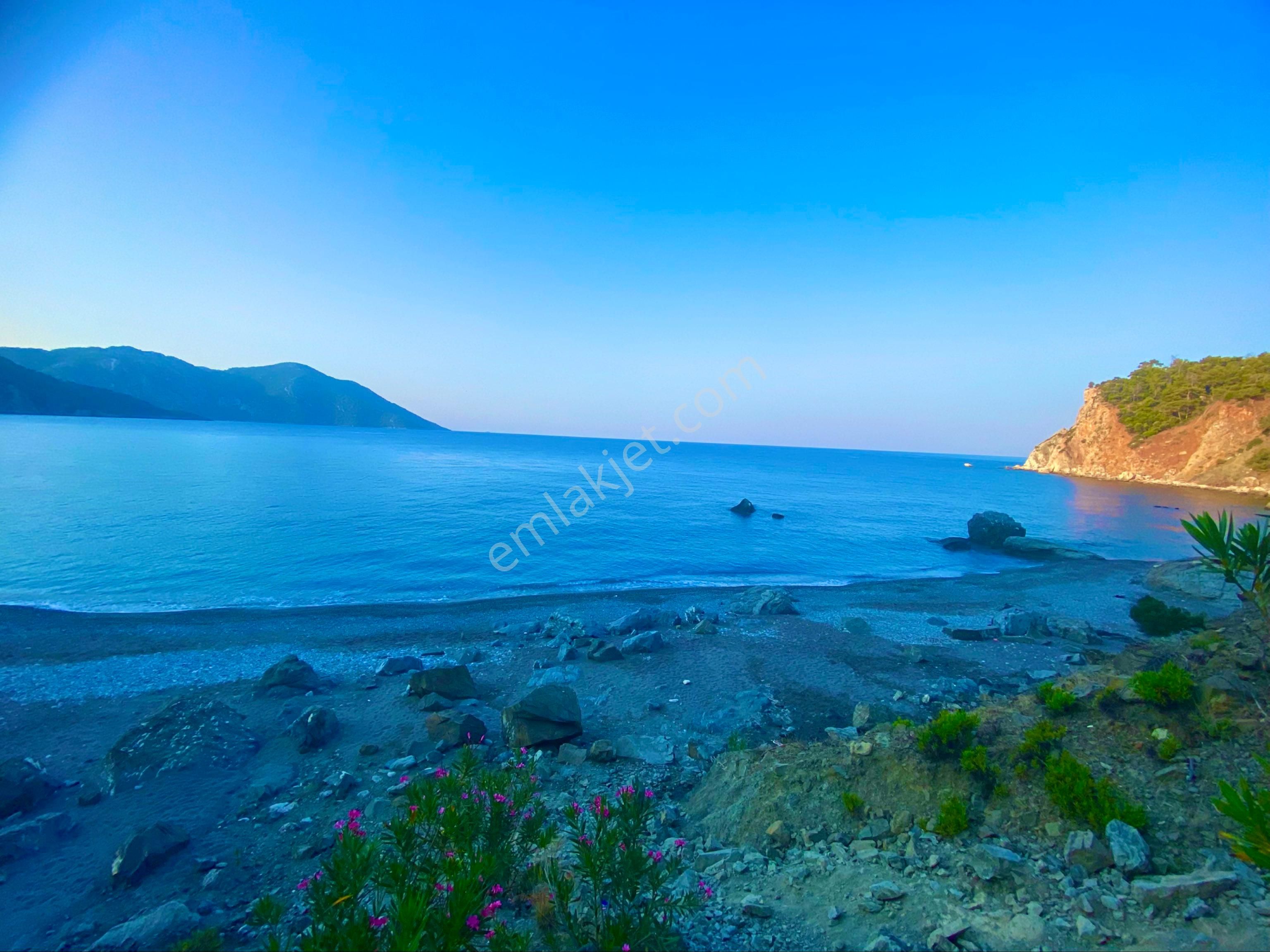 Dalaman Hürriyet De Yatırım Fırsatı - Görsel 21