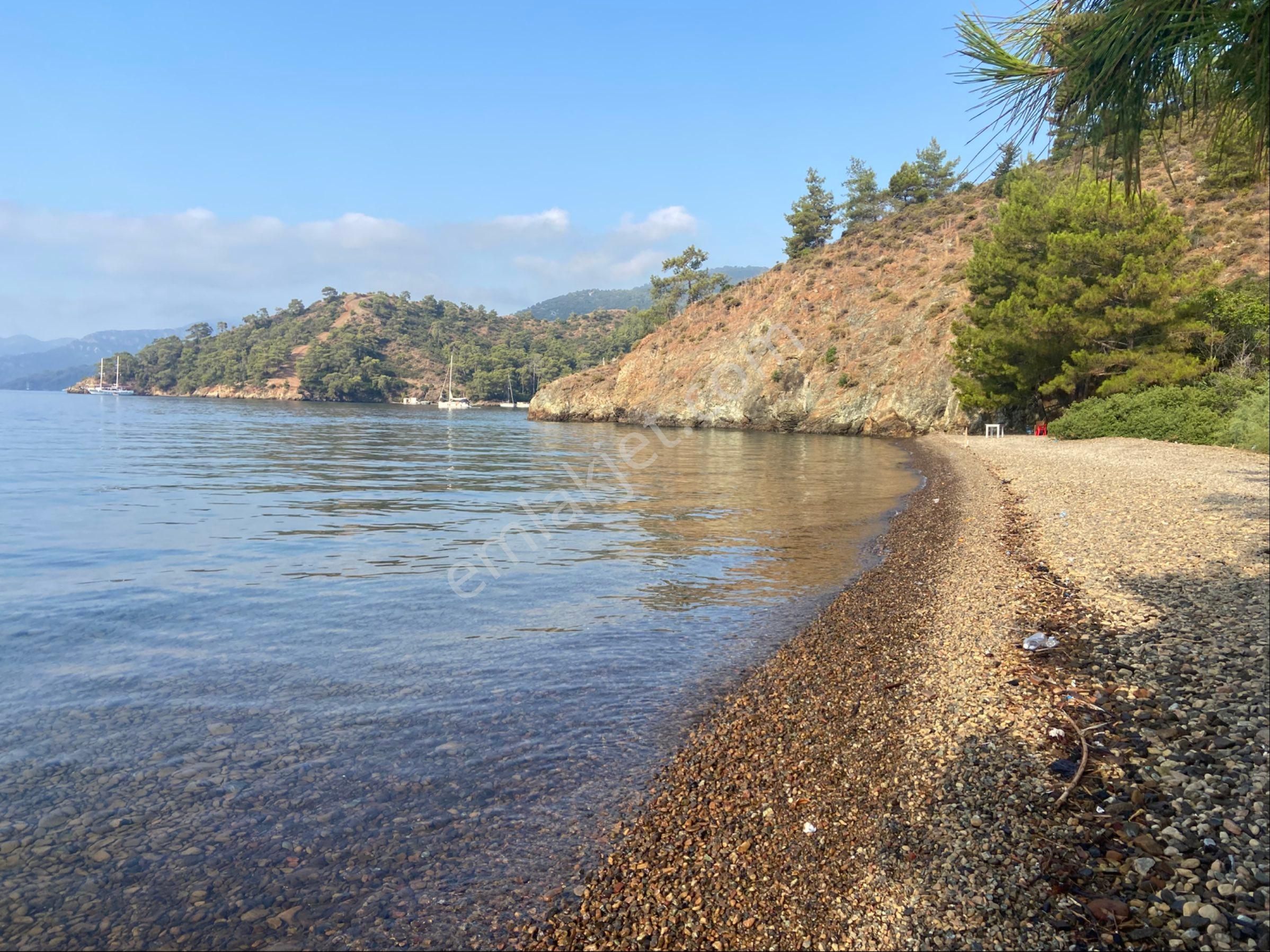 Dalaman Da Yatırım Fırsatı - Görsel 25