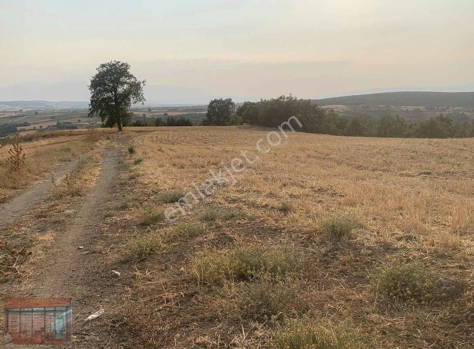 Aktaş'tan Yenişehir Karaamcada Satılık Tarla Yol Su Mevcut - Görsel 13