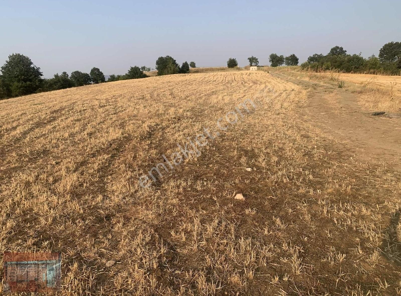 Aktaş'tan Yenişehir Karaamcada Satılık Tarla Yol Su Mevcut - Görsel 11