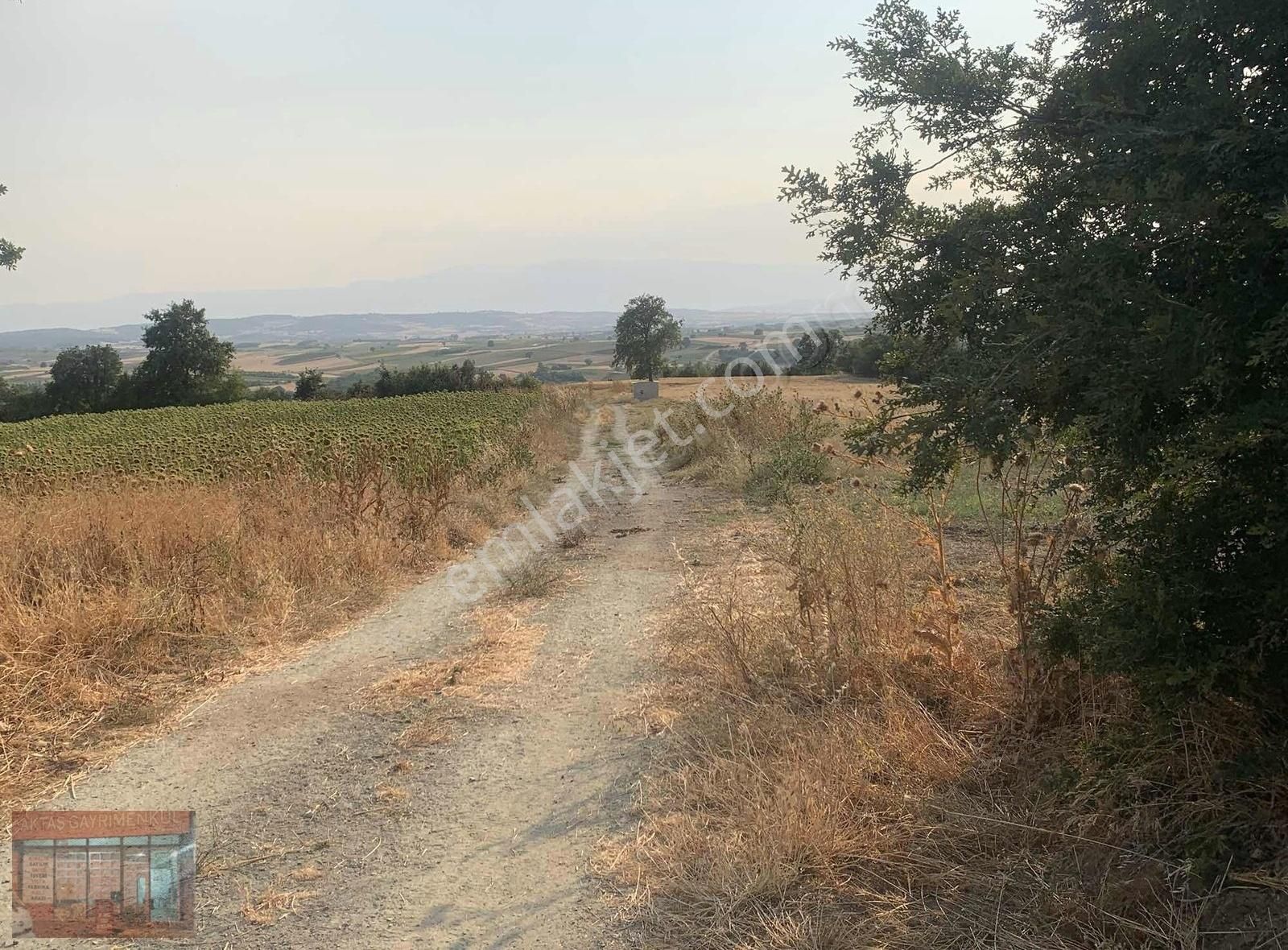Aktaş'tan Yenişehir Karaamcada Satılık Tarla Yol Su Mevcut - Görsel 2