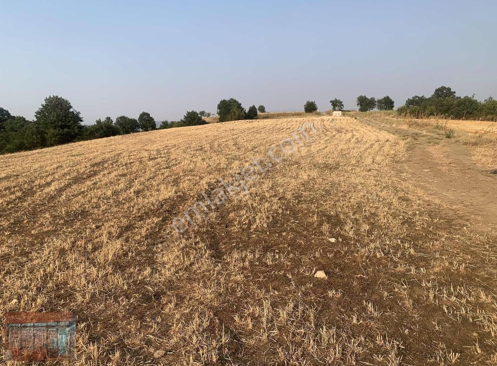 Aktaş'tan Yenişehir Karaamcada Satılık Tarla Yol Su Mevcut - Görsel 8