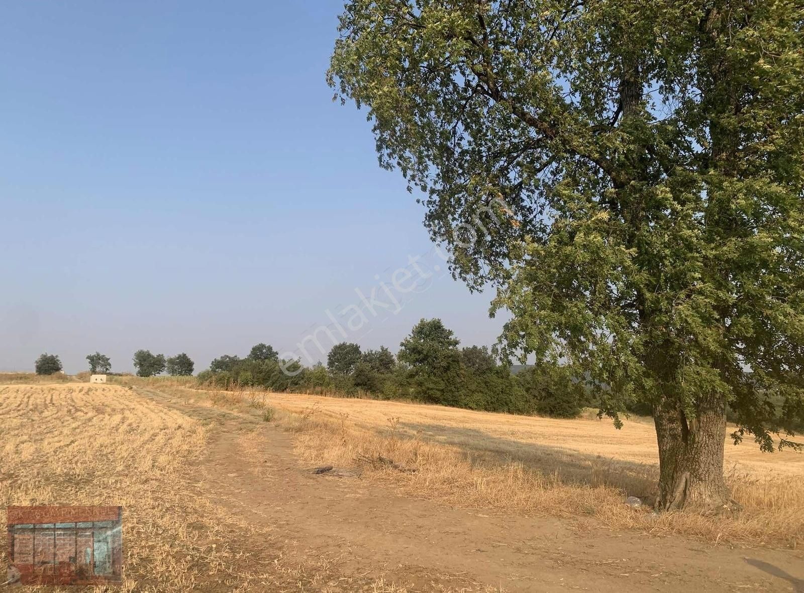 Aktaş'tan Yenişehir Karaamcada Satılık Tarla Yol Su Mevcut - Görsel 14