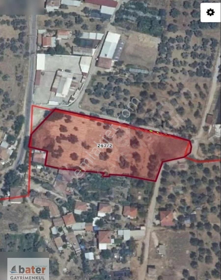 Bater'den Umurlu Org. Sanayi Yakınında Satılık 6126 M² Zeytinlik