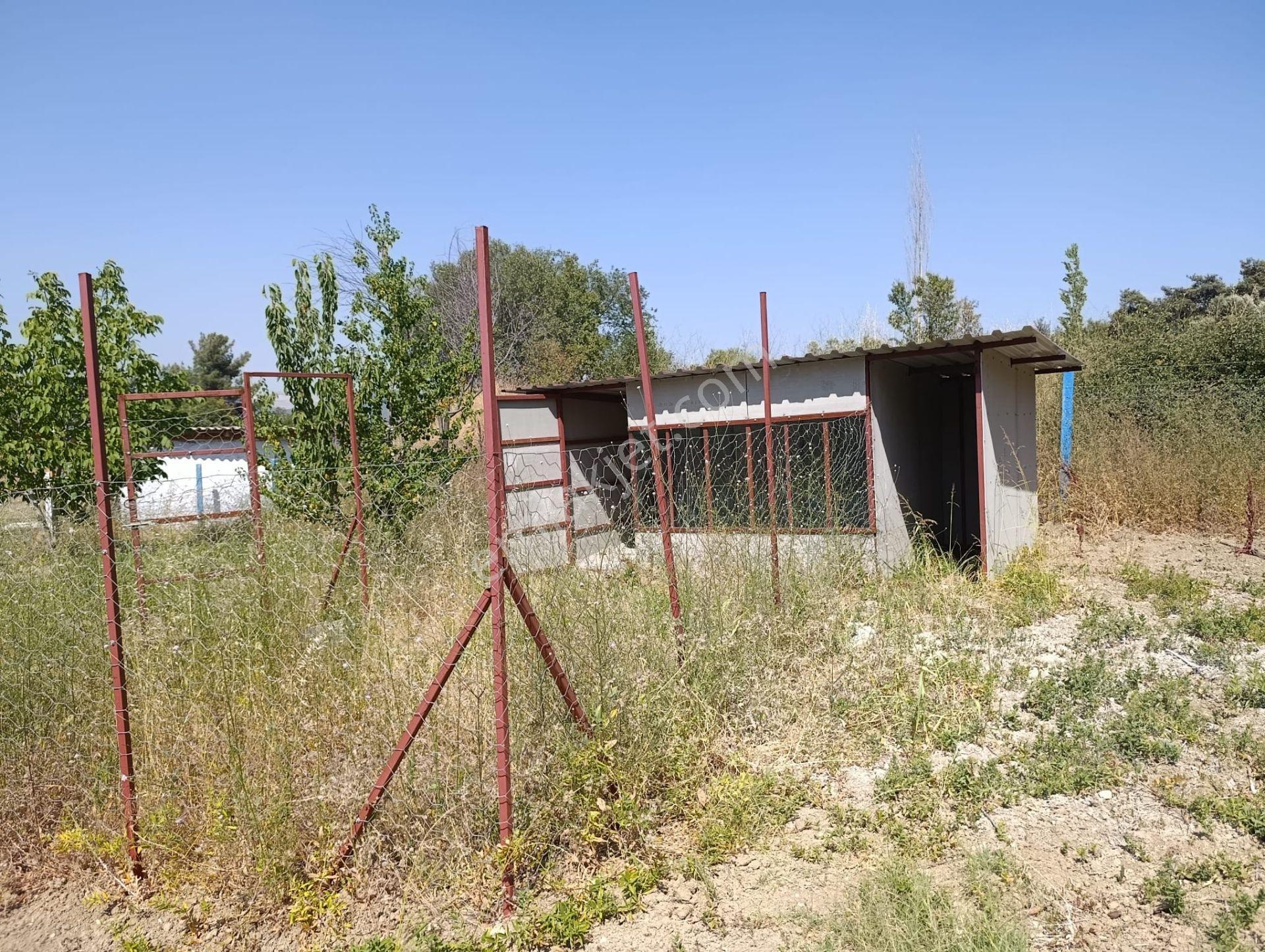 Manisa Soma Satılık Bağ-hobi Evi - Görsel 17