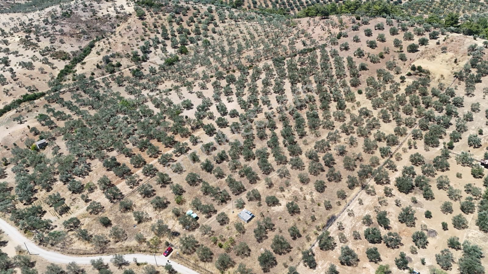 Irmaksudan Edremit Yaylaönün De Kadastro Yolu 24 Dönüm Çift Parsel Zeytinlik - Görsel 12