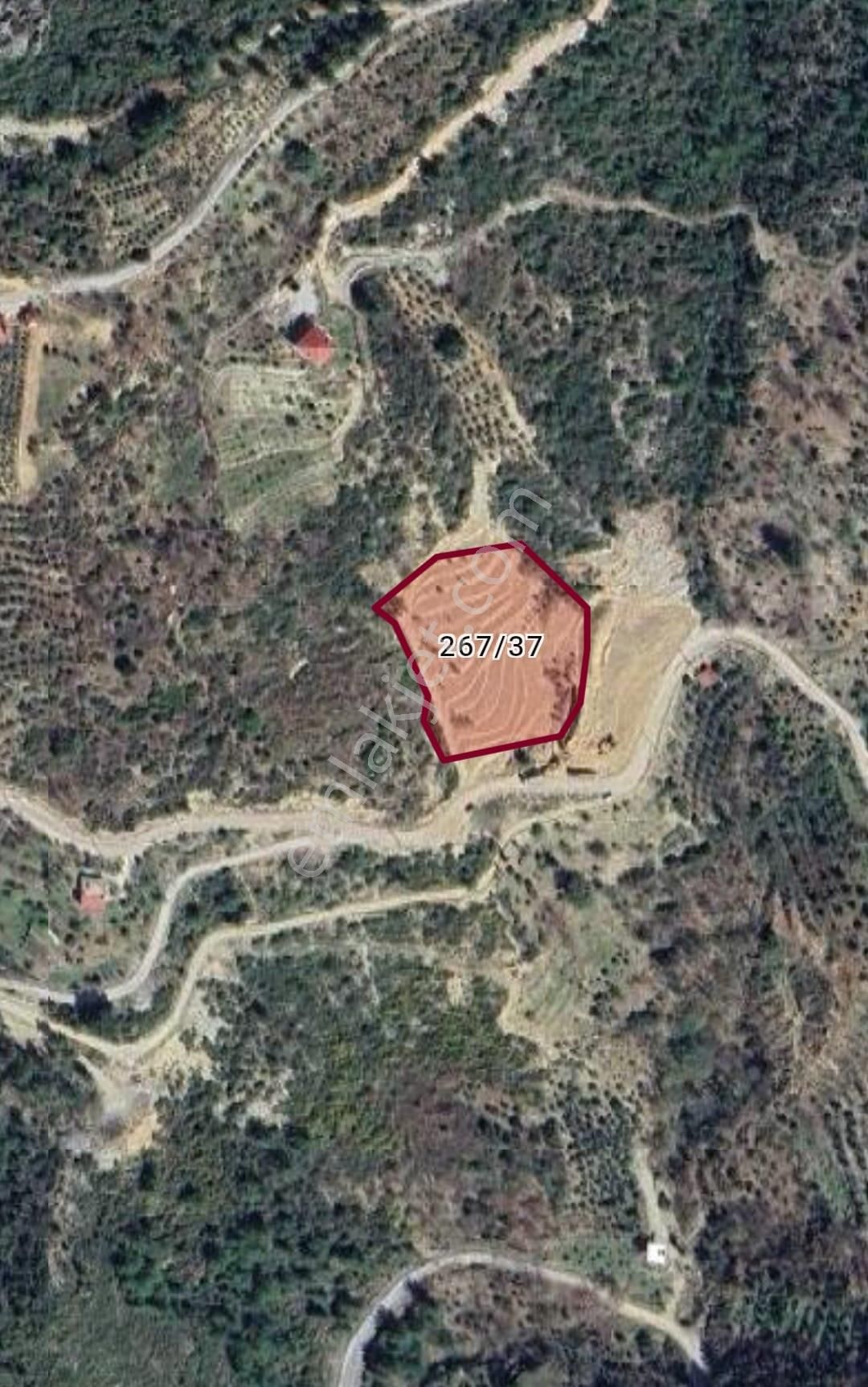 Emlaknomi Alanya-şıhlar Mahallesi 5.913 Metrekare Avakado Yetiştirmeye Uygun Yol Su Var