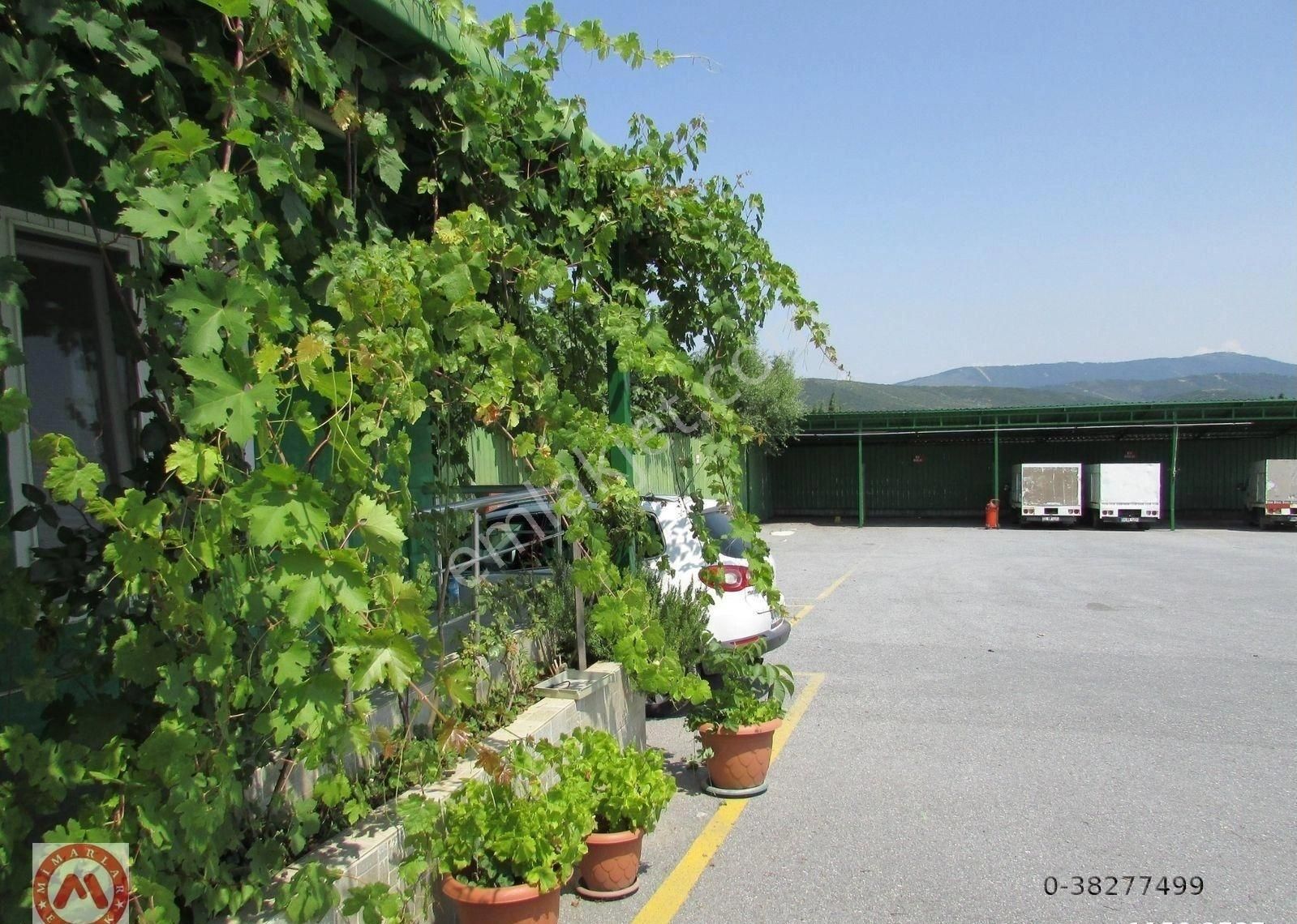 Büyükbakkalköy Full Eşyalı 5 Dönüm Araziye Sahip Kiralık Depo - Görsel 11