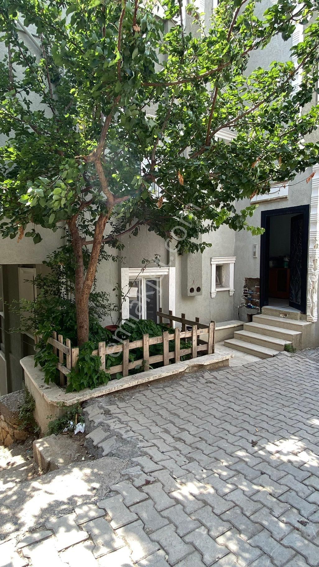 3 + 1 Bahçe Katı