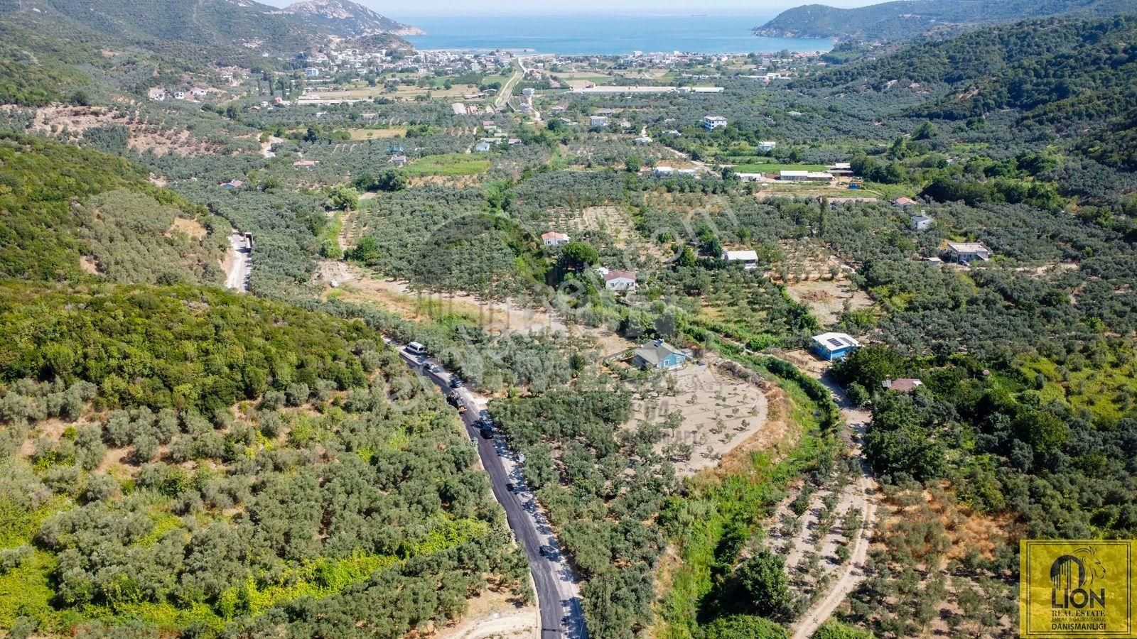 🟨⬛lıon Emlak'tan Balıkesir Erdek Turan Mahallesinde 2840 M² Satılık Zeytinlik⬛🟨 - Görsel 20