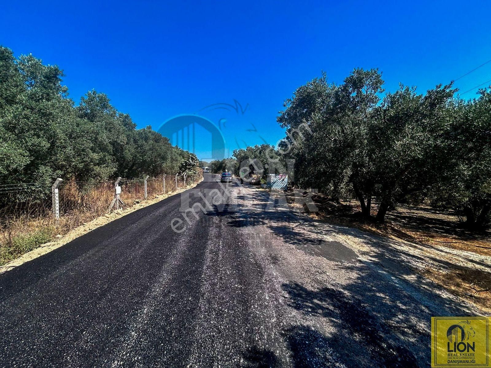 🟨⬛lıon Emlak'tan Balıkesir Erdek Turan Mahallesinde 2840 M² Satılık Zeytinlik⬛🟨 - Görsel 24