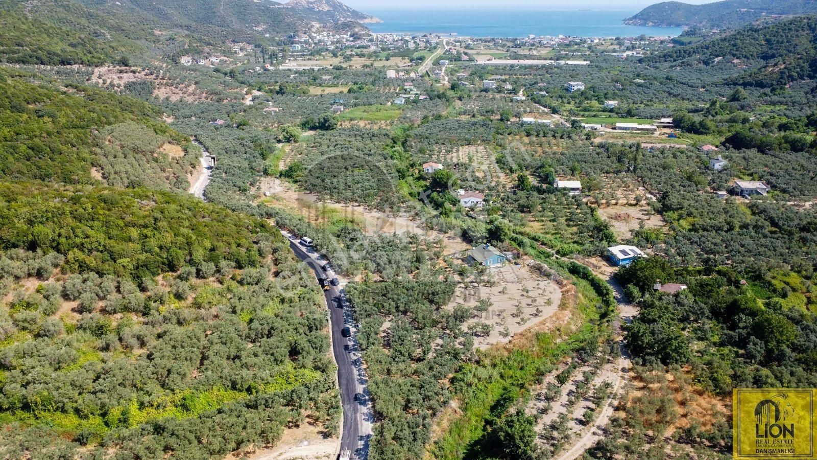🟨⬛lıon Emlak'tan Balıkesir Erdek Turan Mahallesinde 2840 M² Satılık Zeytinlik⬛🟨 - Görsel 19