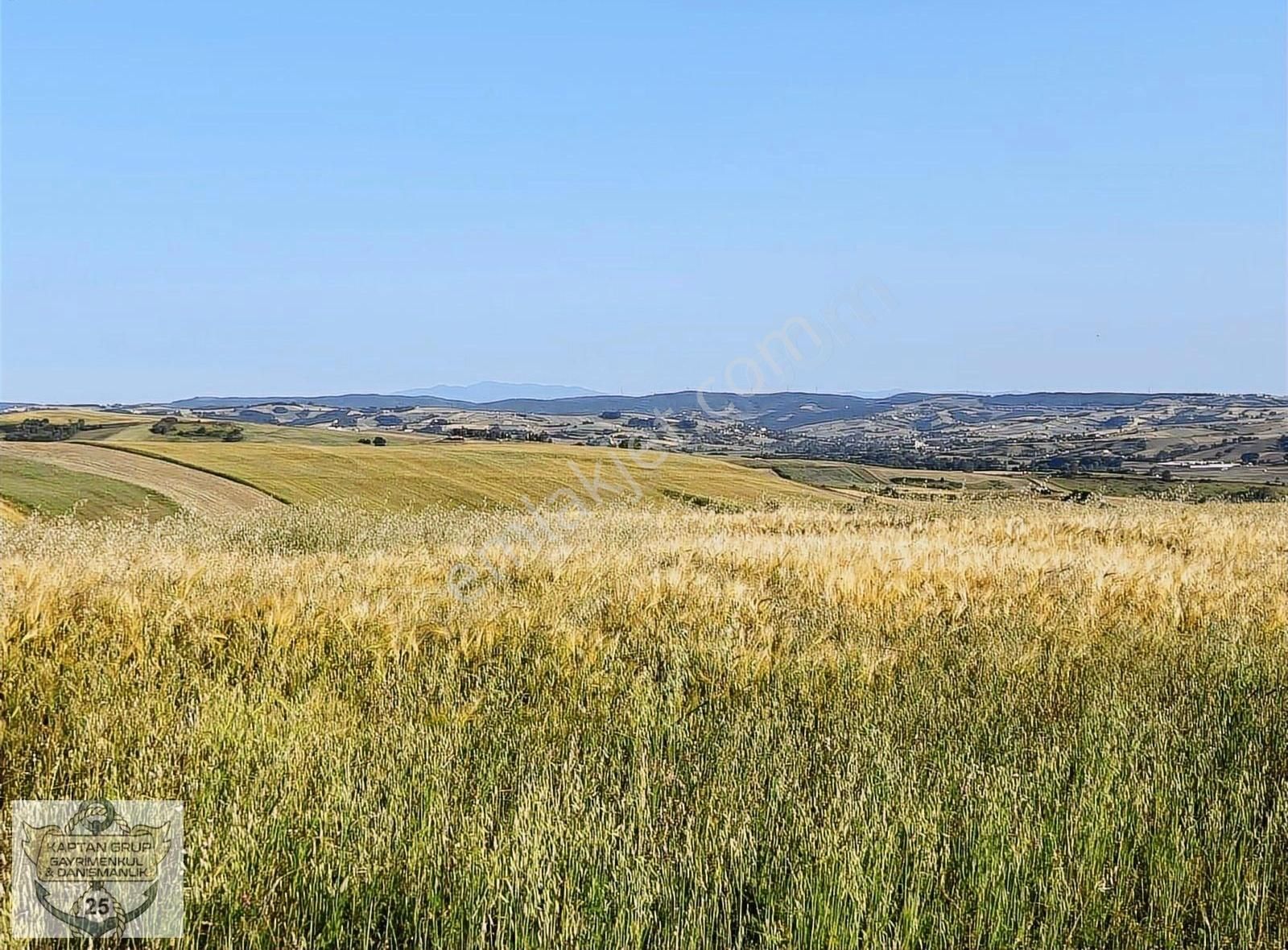 Çavuşlu Köyü 28 Metre Yol Cepheli