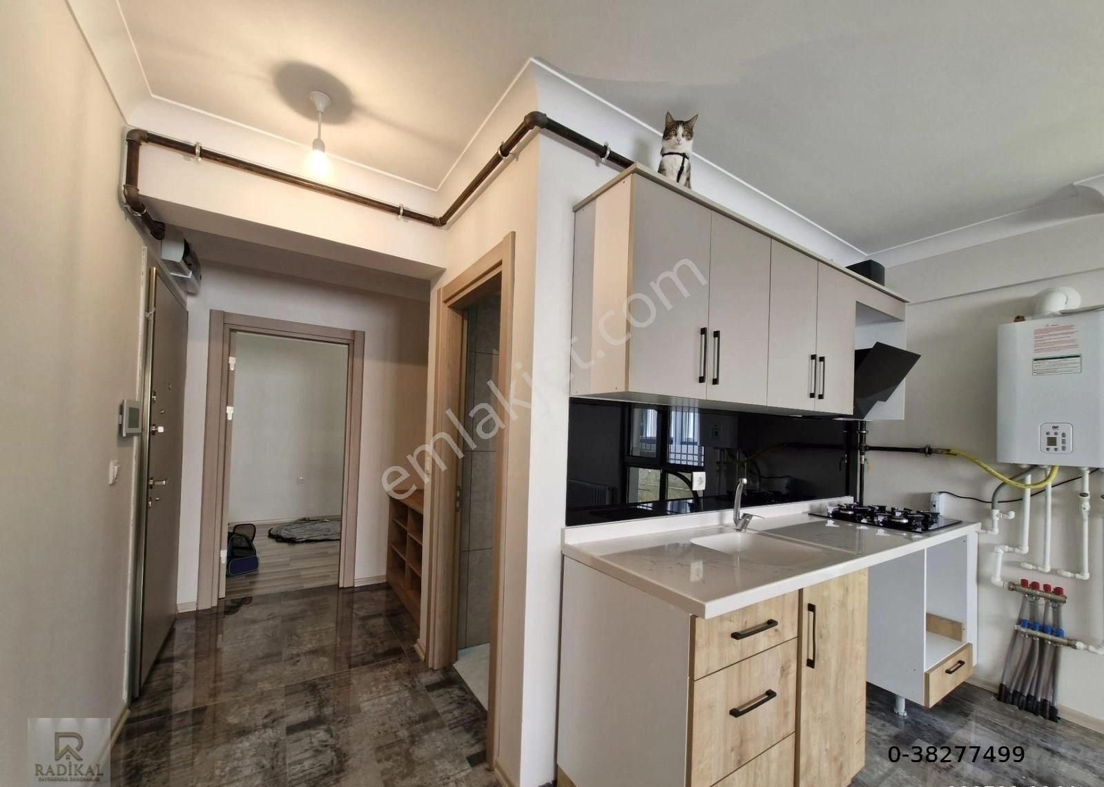 Öveçler Mahallesi 1330. Cadde Üzeri Kiralık 1+1 Suit Daire......