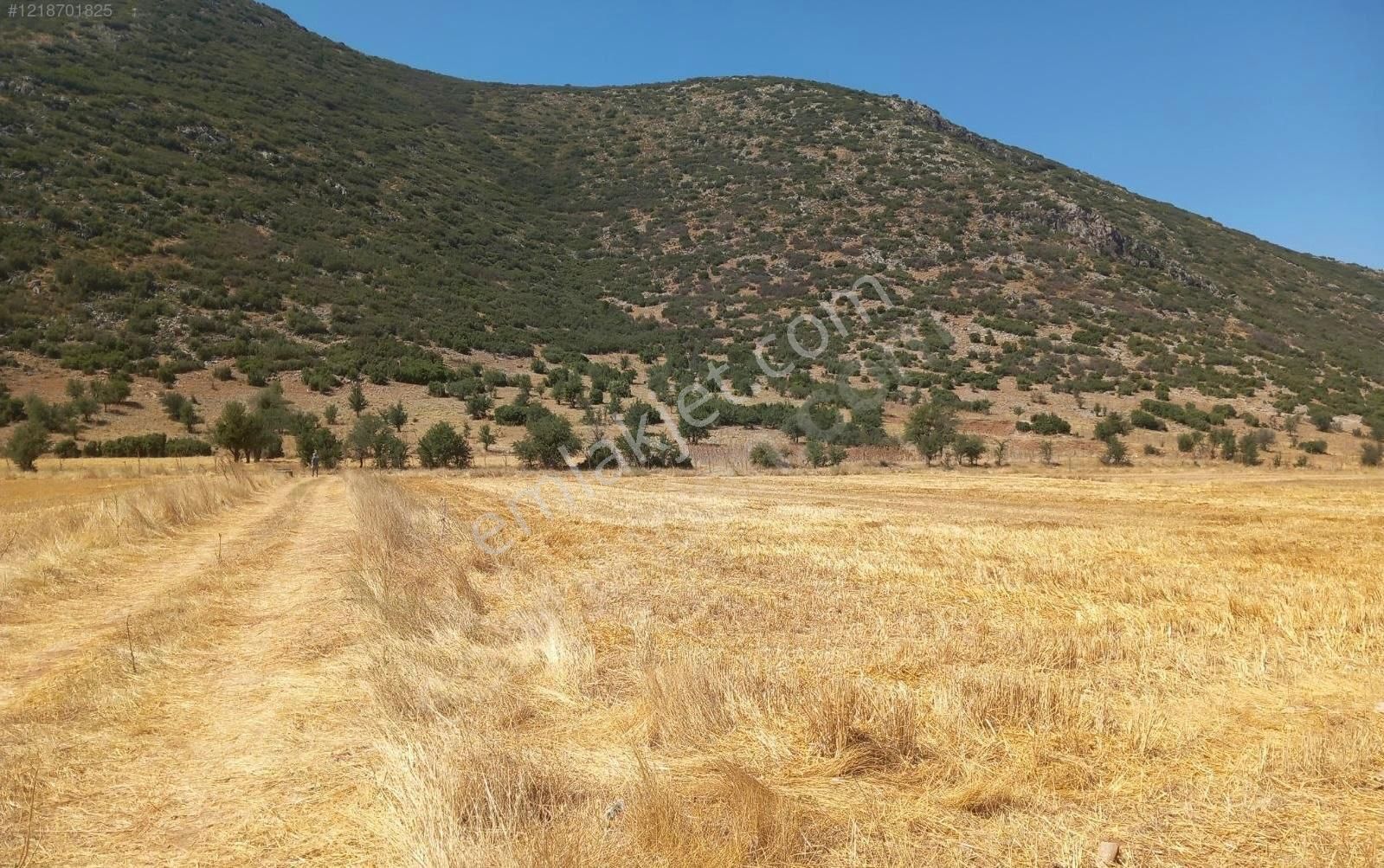 Denizli Tavas Sulu Köyde Yatırımlık Sulu Tarla!