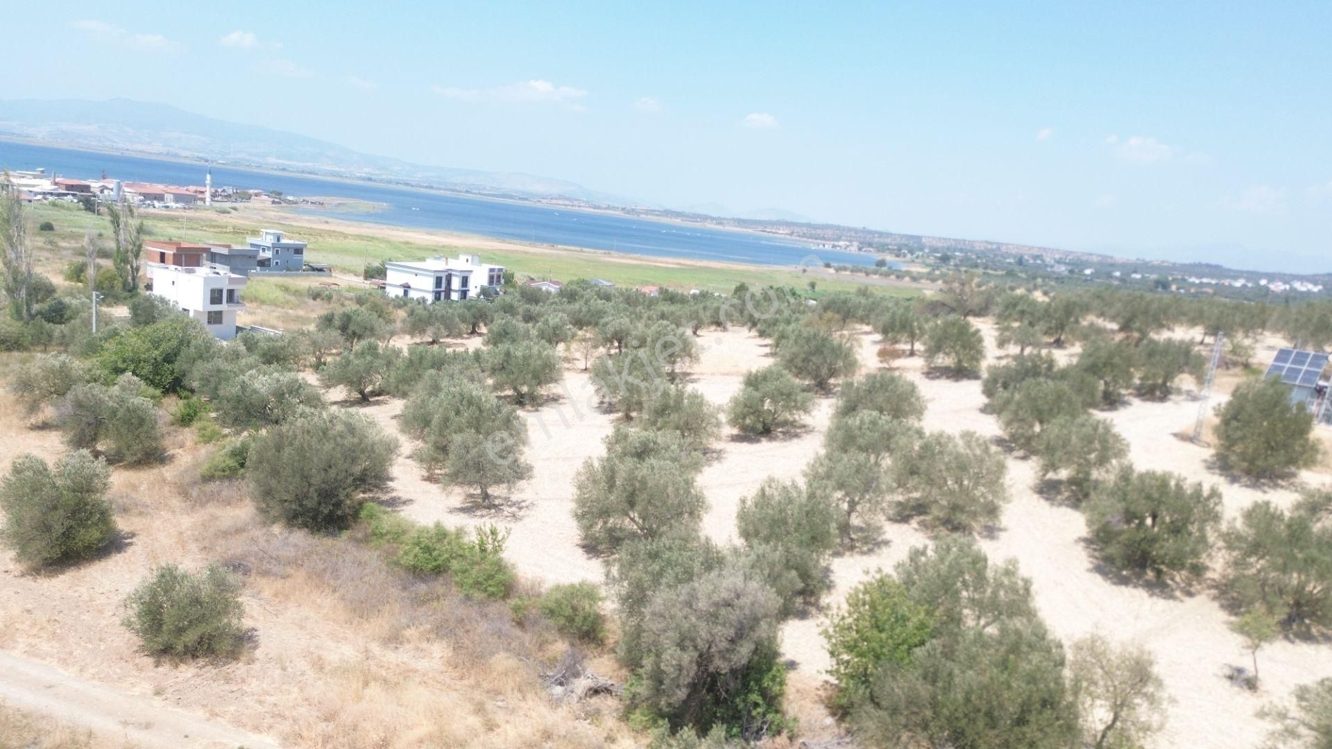 Turyap'tan Aliağa'da Denize Yakın Satılık İmarlı Arsa - Görsel 2